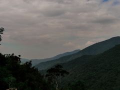 -海南霸王岭国家森林公园