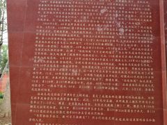 -临高角