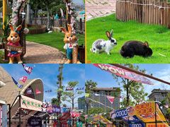 -灵玲国际马戏城