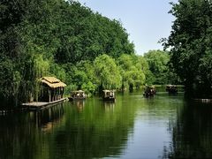 -溱湖国家湿地公园