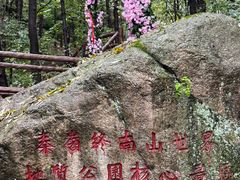 -王顺山国家森林公园