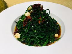 -老阿妈蒙古村·蒙古包·草原文化·歌舞表演(老君堂店)