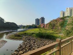-广东花都湖国家湿地公园