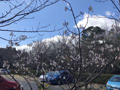 -热田神宫