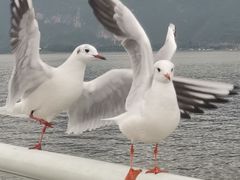 -昆明洲际酒店