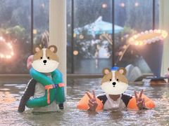 -清河半岛温泉度假酒店