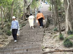 -紫金山天文台