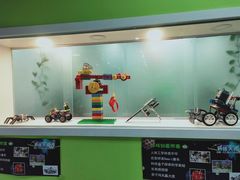 -卡巴机器人编程·少儿编程·信息学竞赛(公益西桥校区)