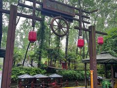 -合肥滨湖国家森林公园