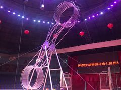 -西安秦岭野生动物园