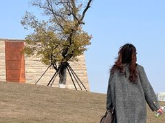 -盘龙城国家考古遗址公园