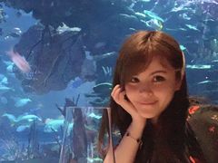 -迪拜帆船酒店海底餐厅