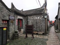 -溱湖国家湿地公园