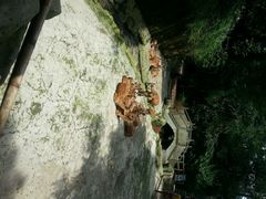 android_upload_pic-碧峰峡风景区