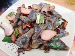 -彭秉兰豆花烤鱼(文化园店)