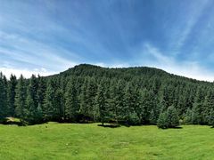 -张掖大佛寺景区