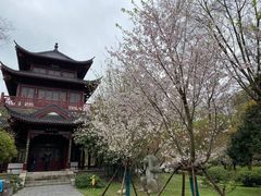 -堤角公园