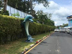 -尼莫海豚馆