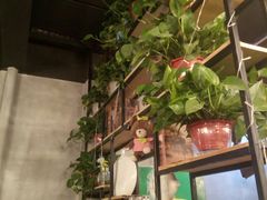 -猫姑娘大盘鸡(商城路店)