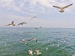 -大连海昌东方水城
