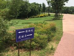 -盘龙城国家考古遗址公园