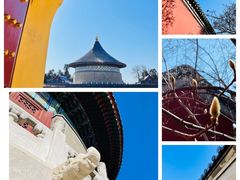 -天坛公园