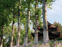 -赵州桥景区
