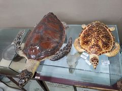 -长春国际会展中心大饭店