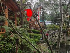 -青城甲(青城山店)