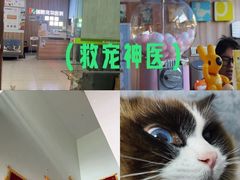 -瑞鹏宠物医院·内科·中兽医·骨科(苗圃店)