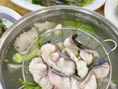-金砂阿洲鱼册店