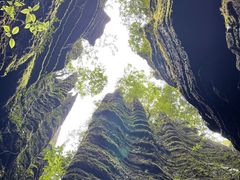 -梭布垭石林景区