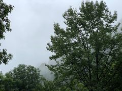 -陕西省红河谷森林公园