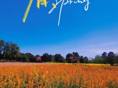 -中国天府农业博览园