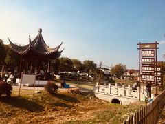 -喜洋洋蟹庄(阳澄湖店)