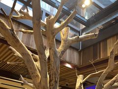 大堂-渔太泰漓江小馆·广西融合菜(西街店)