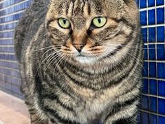 -雕刻时光·咖啡·酒吧·西餐(香山店)