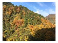 -黎坪国家森林公园