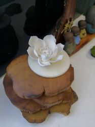 -斐尔国际皮肤管理中心