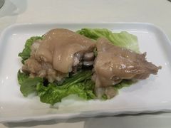 -丁老爷子苏香圆