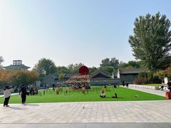 -The Rug Cafe(王府中环店)