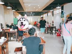 大堂-秋色客家菜(南山店)