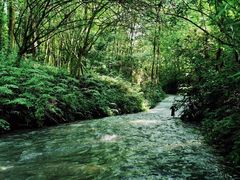 -桤木河湿地公园