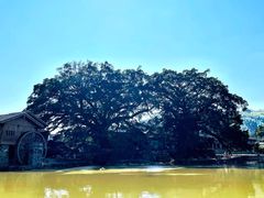-云水谣景区