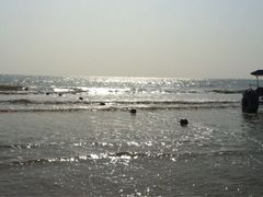iphone_upload_pic-日照海滨国家森林公园