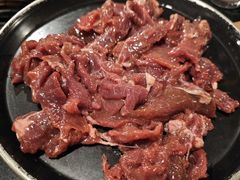 -小志家.鲜牦牛肉牛杂火锅野生菌汤锅