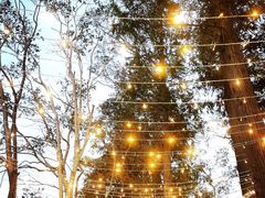 -前小桔亲子创意农场·草莓采摘·露营烧烤