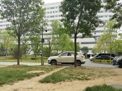 -首都医科大学附属北京天坛医院