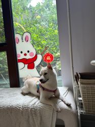 -Doria salon 小颜皮肤