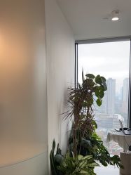 -BELLAREAL新美社